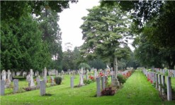 grave yard